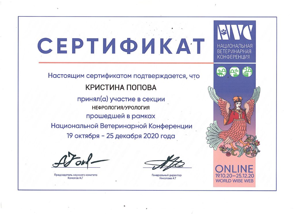 Сертификат 002-min