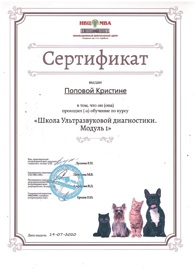 Сертификат 003-min