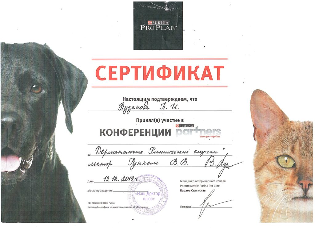 Сертификат 006-min