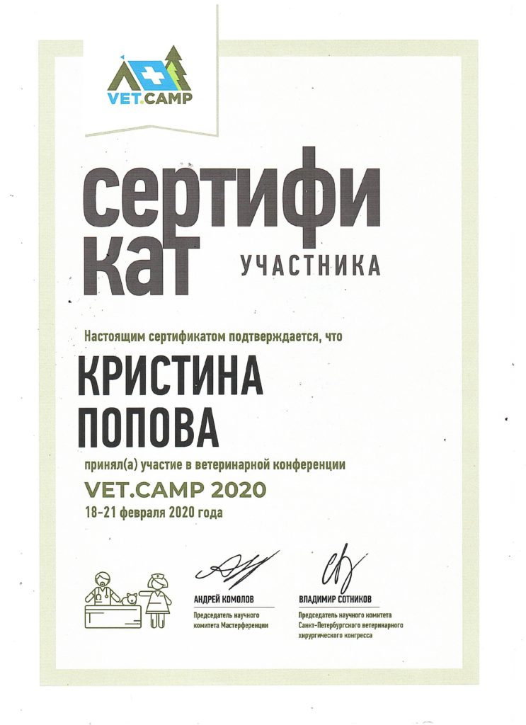 Сертификат 008-min